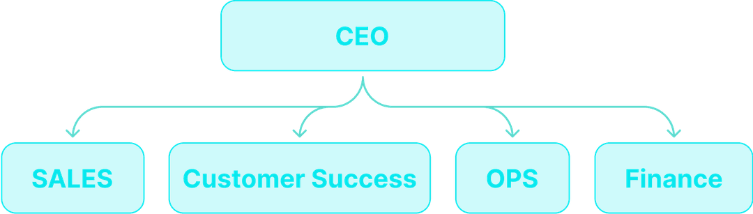 Traditional Organizational Structure